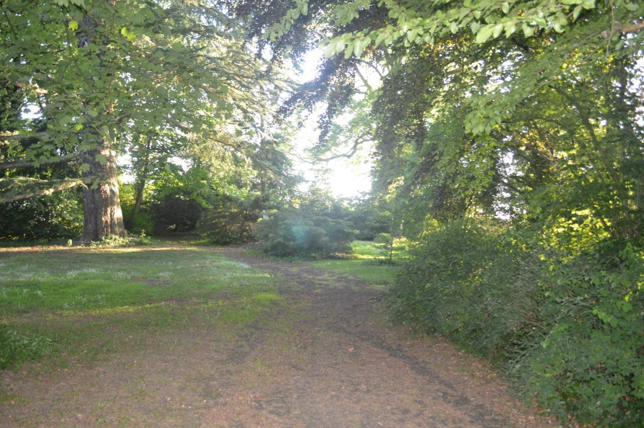 Bed and breakfast La Gentilhommiere Du Chateau De Ragnies